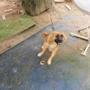 보라리농장 이미지