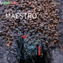 2025 현대미술 권기자·김결수 2인전 「MAESTRO」 이미지