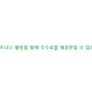 블루그라스