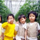 도윤농장 이미지