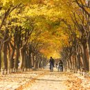 소양강브랜드 홍보 이미지