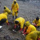 희소유치원 이미지