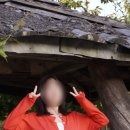 영주 무섬마을 | 영주 무섬마을 외나무다리부터 숙박까지 알찼던 여행 후기