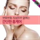 지성식품