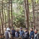 동두천시치매안심센터 | [동두천연천신문]동두천시 치매안심센터, 송내2통 치매안심마을 대상 산림치유프로그램 실시