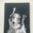 네발로오시개 이미지