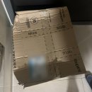 취업준비 (오피스 & 한글) | LG그램 16인치 1년 실사용 후기 느낀점 삼성 맥북 비교