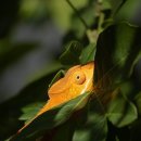 성북구재활용센터 이미지