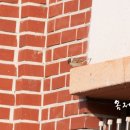 참새방앗간PC 이미지