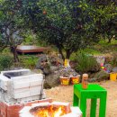 와산스테이 인 제주 이미지