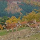주식회사 꿈꾸는두레