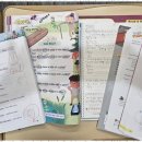 김포대로 이미지