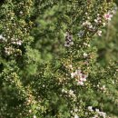 케이-슈퍼마켓 이미지