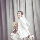 다사랑 애견 이미지