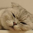 매직PC방 이미지