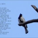 [최두석] 박새소리 이미지