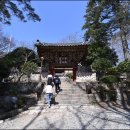 순천-65호 이미지