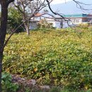 신세기공인중개사사무소 이미지