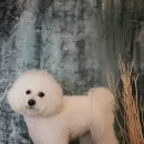 모임스튜디오 이미지