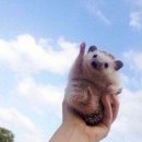 눈사랑안과의원 이미지