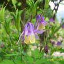 자미원농장 이미지