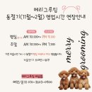 메리그루밍 이미지