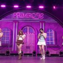 6월12일 엠카운트다운 프림로즈 Cinema 영상 이미지