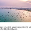 다낭 네이버블로그
