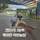 아란농장 | 코타키나발루 아이랑 가볼만한곳, 투아란 악어농장 투어