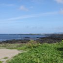 하도페이지1 이미지