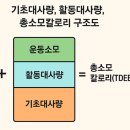 발렌스 이미지