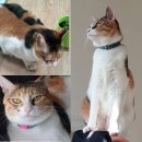 선부1동 주민센터 이미지