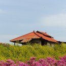 제일대학길 이미지