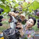 김재훈농장 이미지