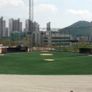 스타파크야구장 네이버블로그