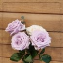 금강다방 이미지