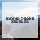 신비네일 네이버블로그