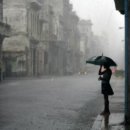 은평-014 이미지