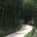 정영덕농장 이미지