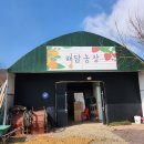 해담농장 | 해담농장 딸기체험 후기(24개월 미만 무료)