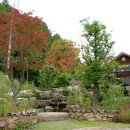 산머루펜션 - 가평군 청군로 309 | 산머루펜션