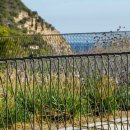 Strength Museum 이미지