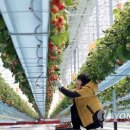 이규태농장 이미지