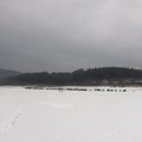 늘푸른낚시 이미지