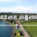 라플라이 이미지