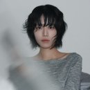 토미