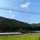 부여주유소 이미지