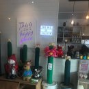 펠리스빼로 이미지