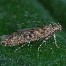 예산군농업기술센터 이미지