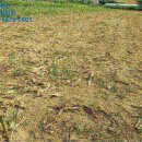 능북목장 이미지